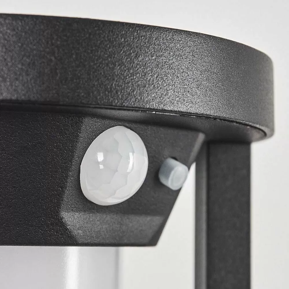 hofstein Applique Murale D'Exterieur Lokpano Led Noir, 1 Lumiere, Detecteur De Mouvement, Changeur De Couleurs