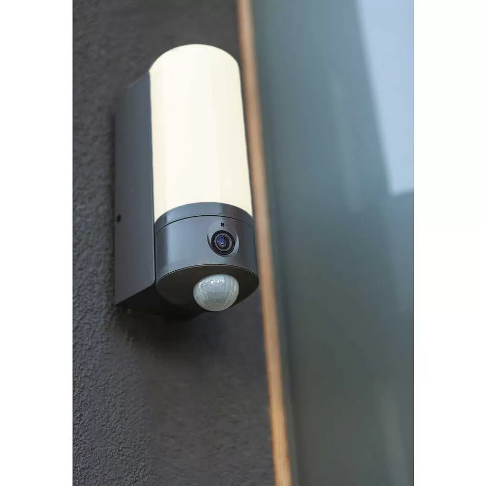 Luminaires Lutec Applique Murale D'Exterieur Lutec Pollux Led Anthracite, 1 Lumiere, Detecteur De Mouvement