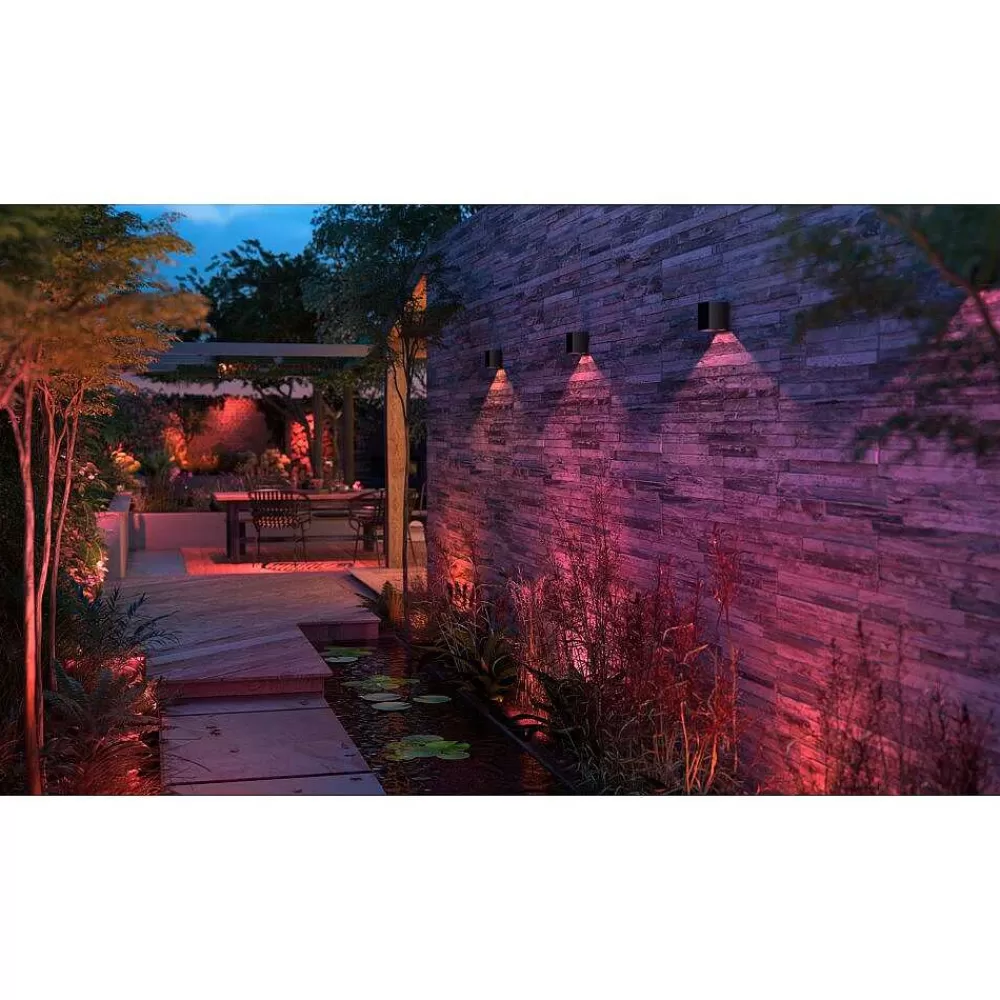 Luminaires Philips Applique Murale D'Exterieur Philips Hue Resonate Led Noir, 1 Lumiere, Changeur De Couleurs