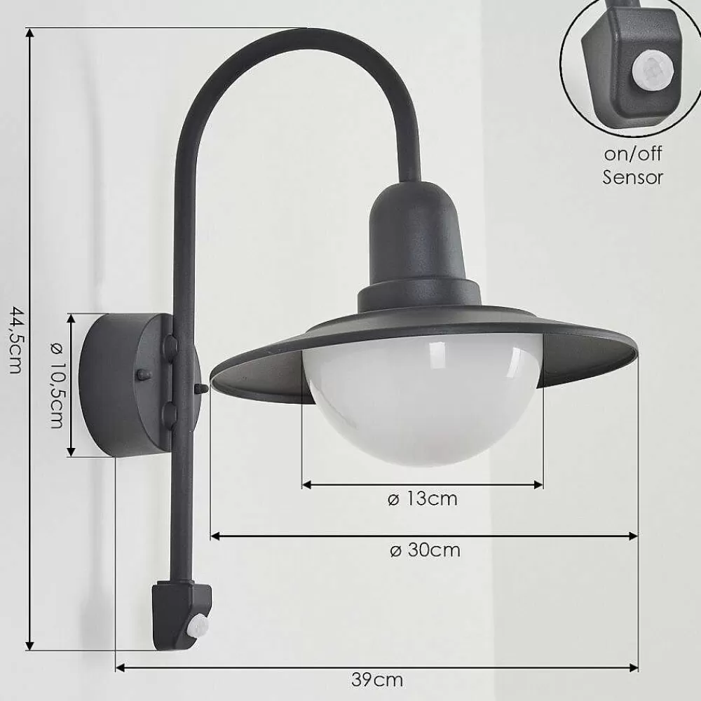 hofstein Applique Murale D'Exterieur Pohei Anthracite, 1 Lumiere, Detecteur De Mouvement