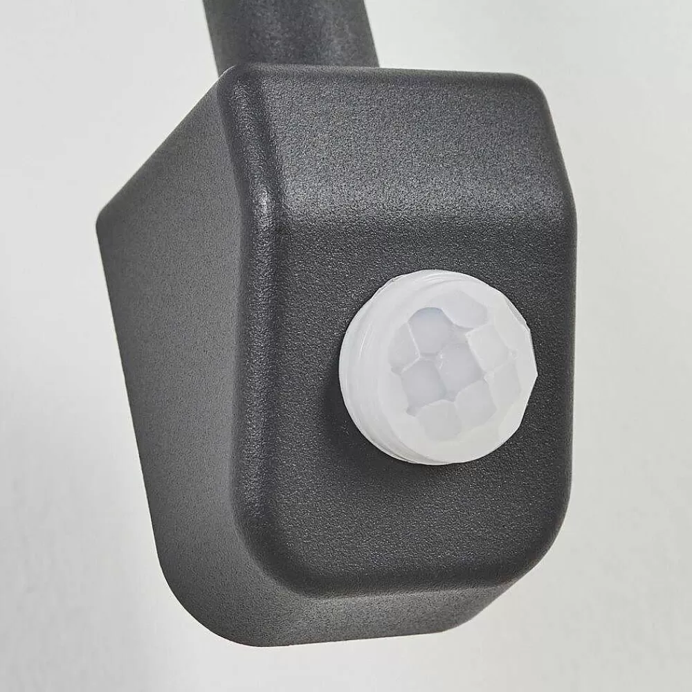 hofstein Applique Murale D'Exterieur Pohei Anthracite, 1 Lumiere, Detecteur De Mouvement