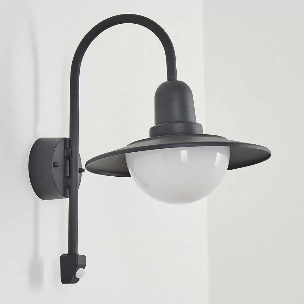 hofstein Applique Murale D'Exterieur Pohei Anthracite, 1 Lumiere, Detecteur De Mouvement