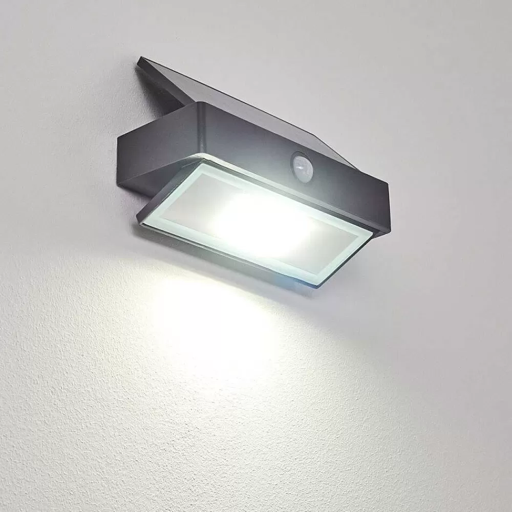 hofstein Applique Murale D'Exterieur Wiborg Led Anthracite, 1 Lumiere, Detecteur De Mouvement