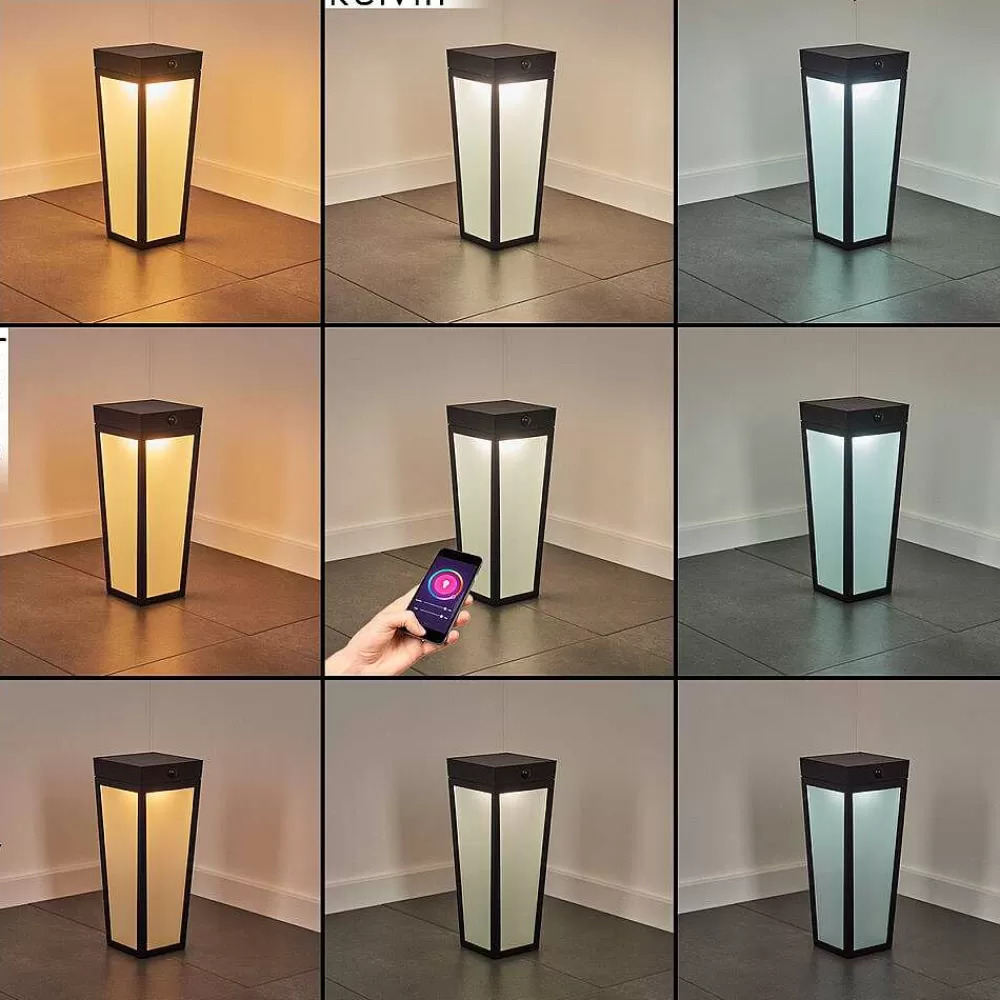 hofstein Borne Lumineuse Begg Led Noir, 1 Lumiere, Detecteur De Mouvement, Changeur De Couleurs