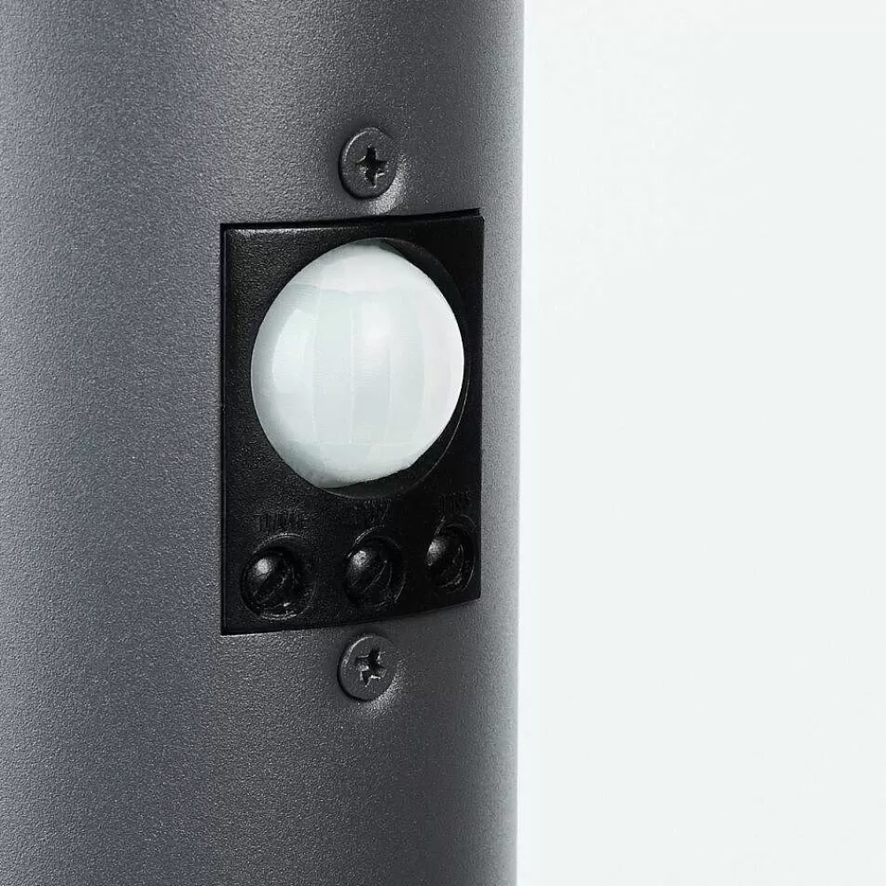 hofstein Borne Lumineuse Caserta Anthracite, 1 Lumiere, Detecteur De Mouvement