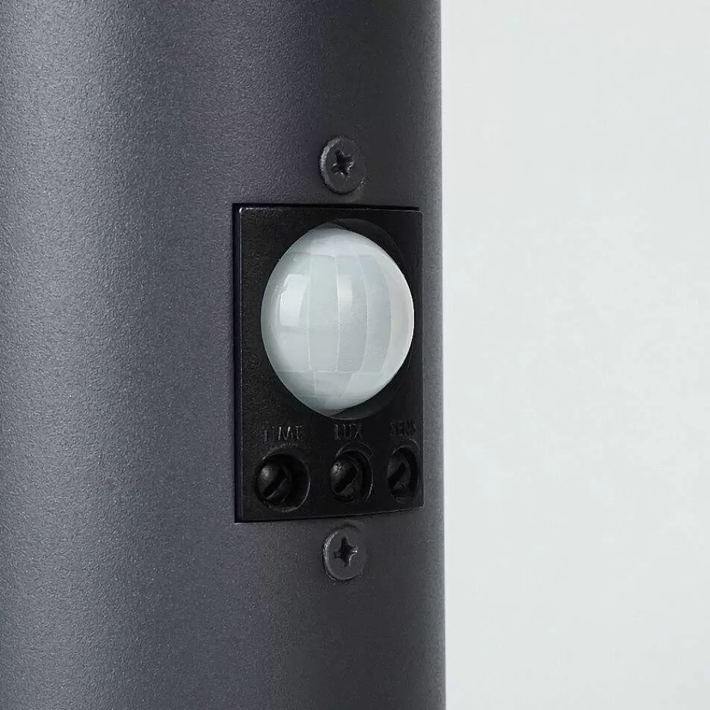hofstein Borne Lumineuse Sessa Anthracite, 1 Lumiere, Detecteur De Mouvement
