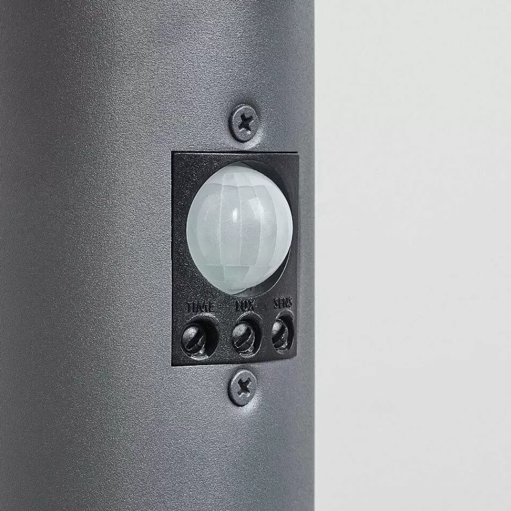 hofstein Borne Lumineuse Sessa Anthracite, 1 Lumiere, Detecteur De Mouvement