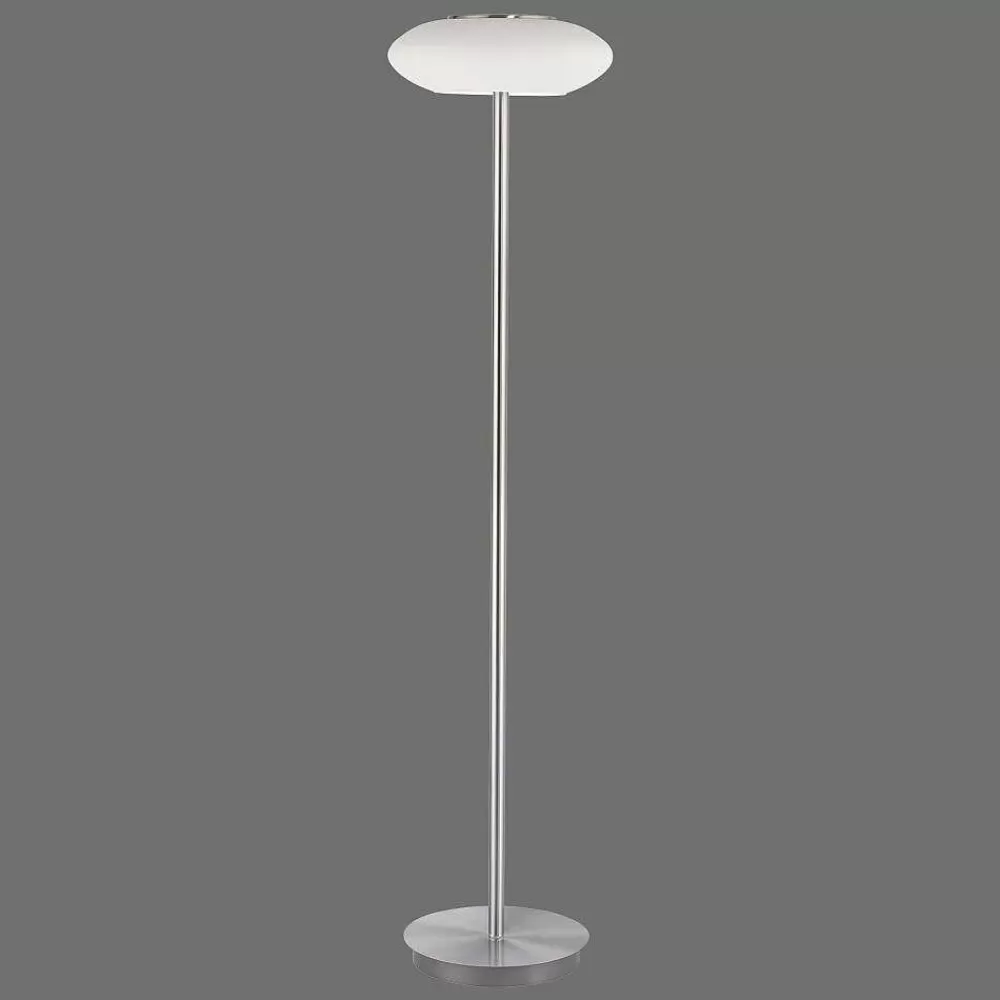 Paul Neuhaus Q-Serie Lampadaire Paul Neuhaus Q-Etienne Led Acier Brosse, 1 Lumiere, Telecommandes