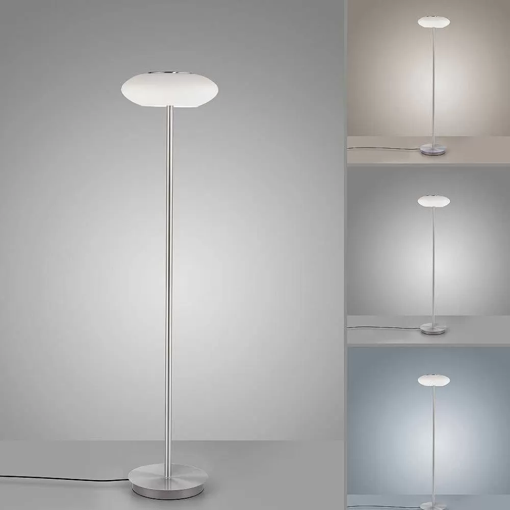 Paul Neuhaus Q-Serie Lampadaire Paul Neuhaus Q-Etienne Led Acier Brosse, 1 Lumiere, Telecommandes