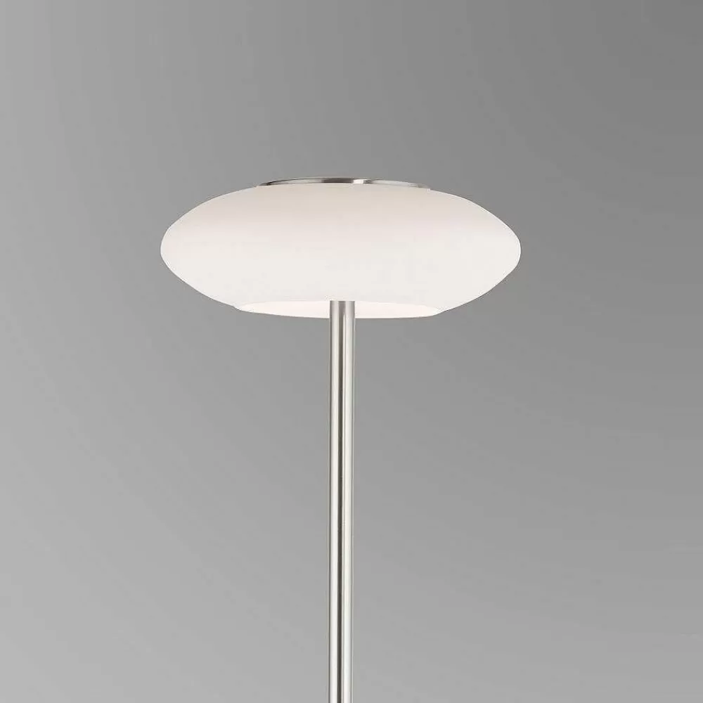 Paul Neuhaus Q-Serie Lampadaire Paul Neuhaus Q-Etienne Led Acier Brosse, 1 Lumiere, Telecommandes