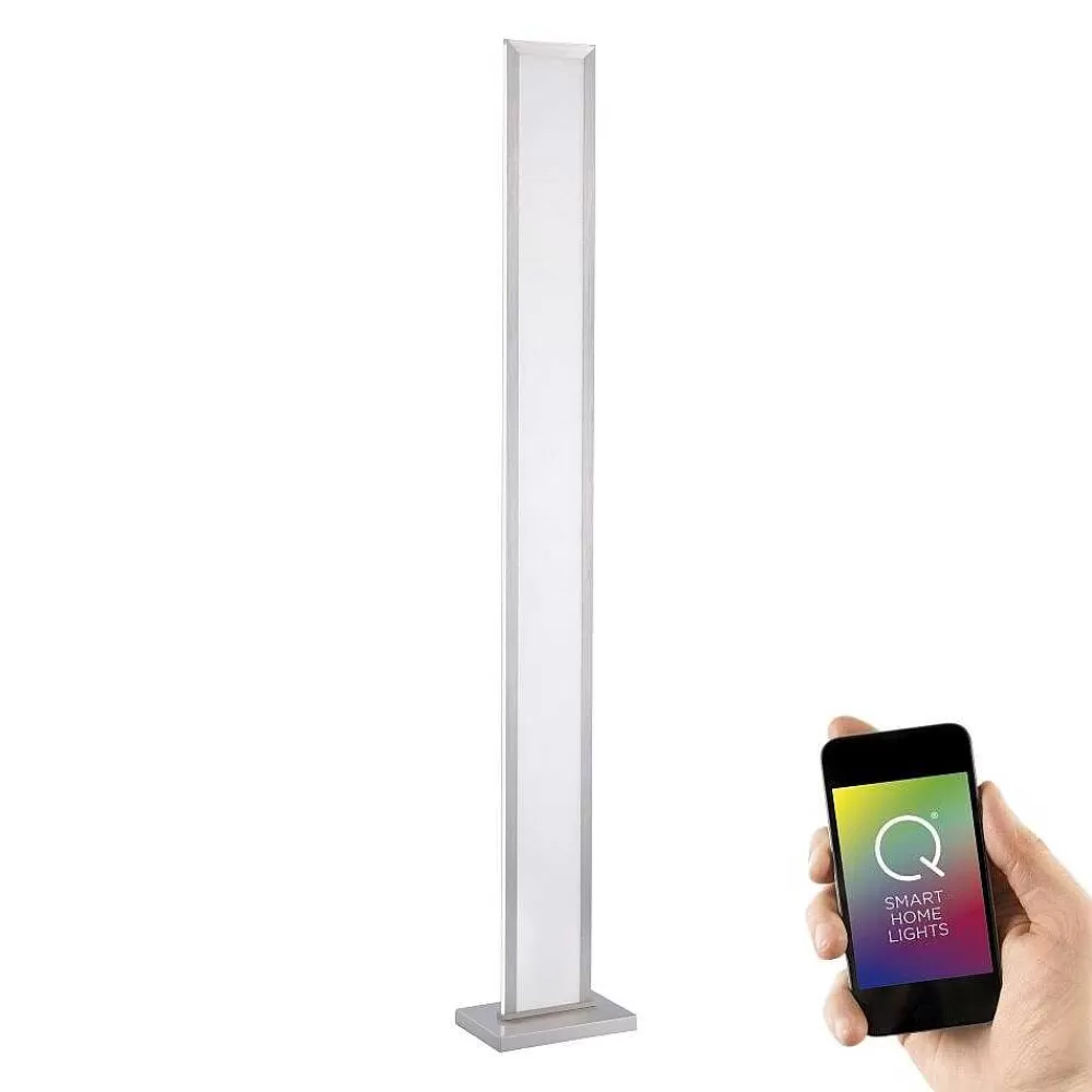 Paul Neuhaus Q-Serie Lampadaire Paul Neuhaus Q-Rosa Led Acier Inoxydable, 1 Lumiere, Telecommandes