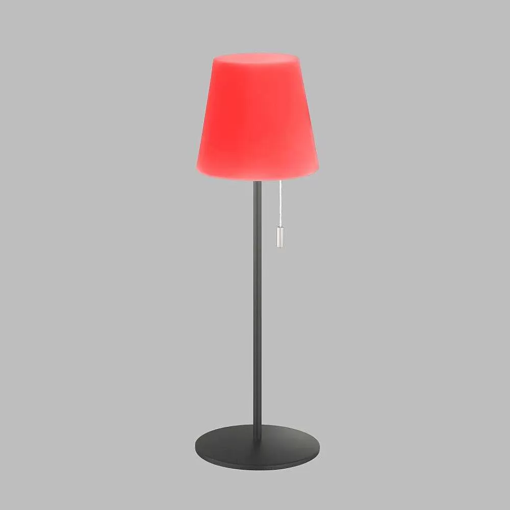 SCHÖNER WOHNEN-Kollektion Lampe A Poser Schoner Wohnen-Kollektion Talent Led Anthracite, 1 Lumiere, Telecommandes, Changeur De Couleurs
