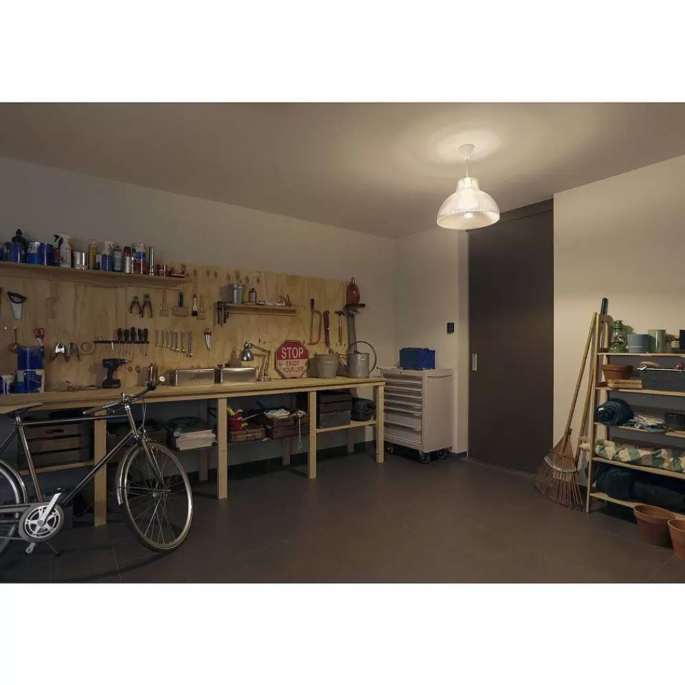Luminaires Philips Led E27 15,5 Watt 2200 - 6500 Kelvin 1100 Lumen Philips Hue White