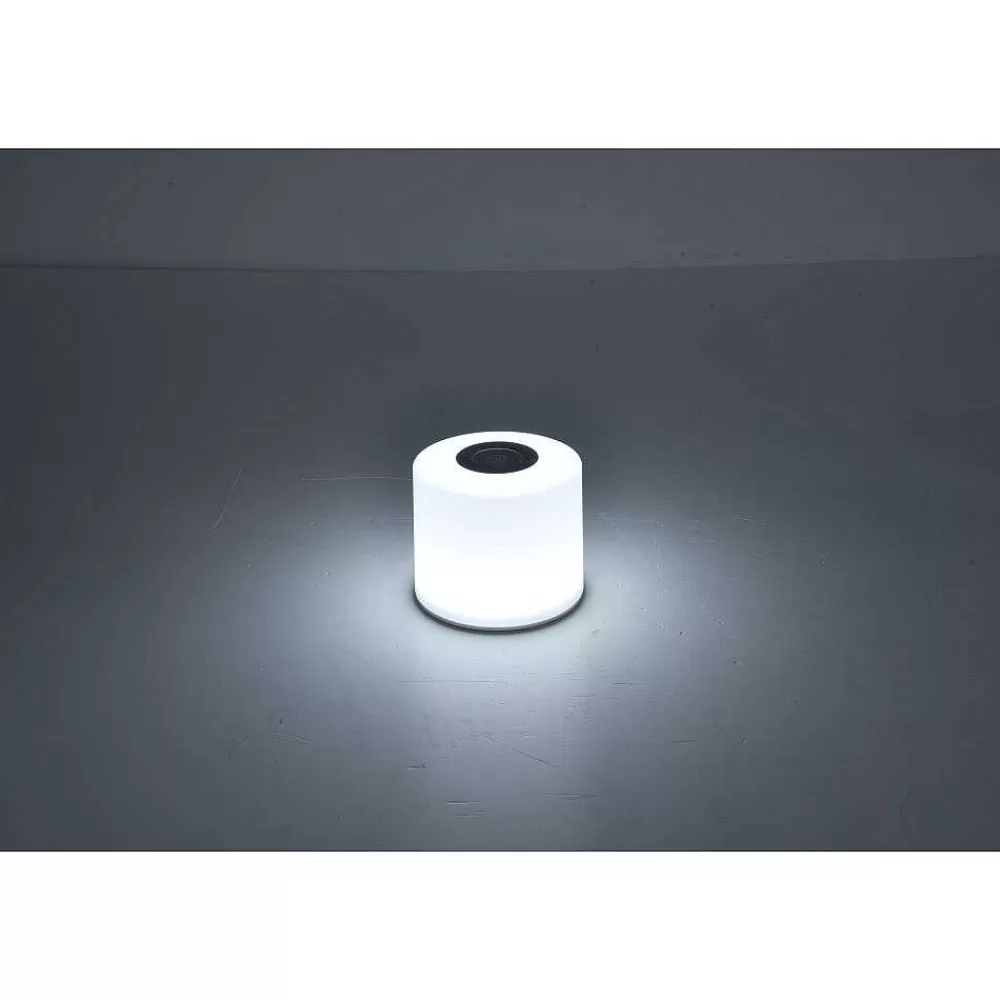 Luminaires Lutec Lot De 2 Lampes Solaires Lutec Noma Led Blanc, 2 Lumieres, Changeur De Couleurs