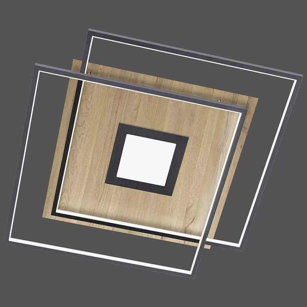 Paul Neuhaus Q-Serie Plafonnier Paul Neuhaus Q-Amira Led Bois Clair, 1 Lumiere, Telecommandes
