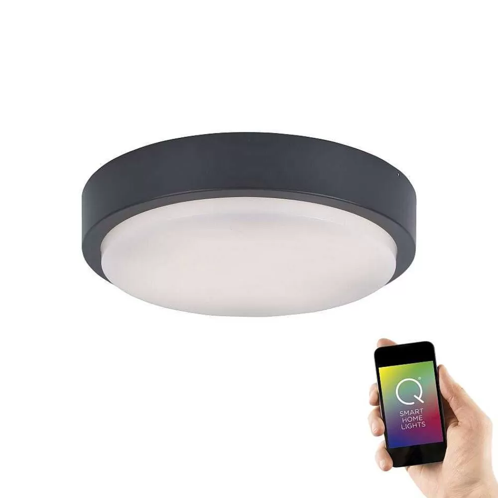 Paul Neuhaus Q-Serie Plafonnier Paul Neuhaus Q-Lenny Led Anthracite, 1 Lumiere, Telecommandes, Changeur De Couleurs