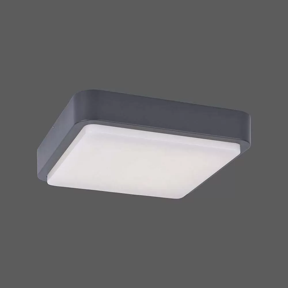 Paul Neuhaus Q-Serie Plafonnier Paul Neuhaus Q-Lenny Led Anthracite, 1 Lumiere, Telecommandes, Changeur De Couleurs