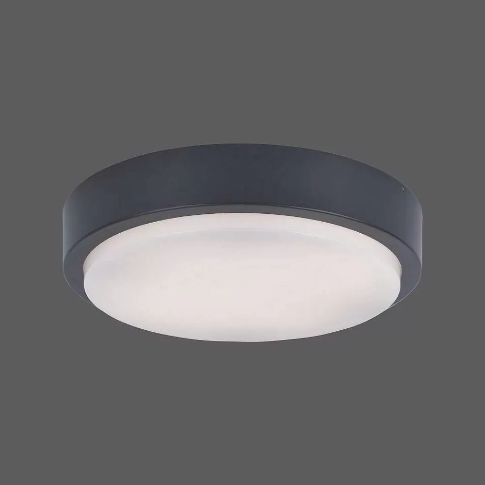 Paul Neuhaus Q-Serie Plafonnier Paul Neuhaus Q-Lenny Led Anthracite, 1 Lumiere, Telecommandes, Changeur De Couleurs