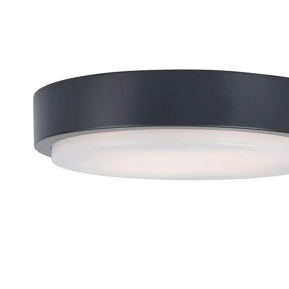 Paul Neuhaus Q-Serie Plafonnier Paul Neuhaus Q-Lenny Led Anthracite, 1 Lumiere, Telecommandes, Changeur De Couleurs