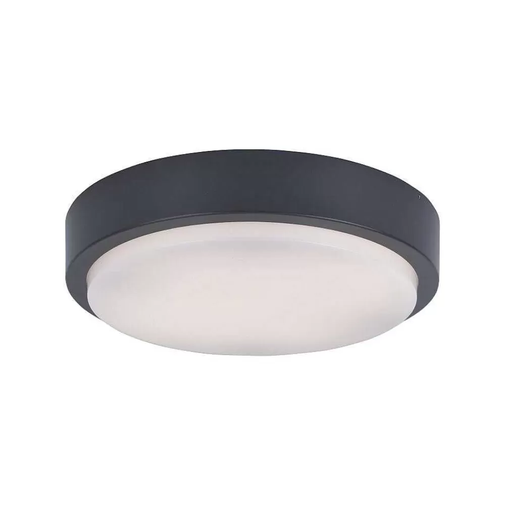 Paul Neuhaus Q-Serie Plafonnier Paul Neuhaus Q-Lenny Led Anthracite, 1 Lumiere, Telecommandes, Changeur De Couleurs