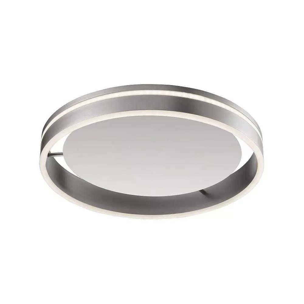 Paul Neuhaus Q-Serie Plafonnier Paul Neuhaus Q-Vito Led Acier Inoxydable, 1 Lumiere, Telecommandes
