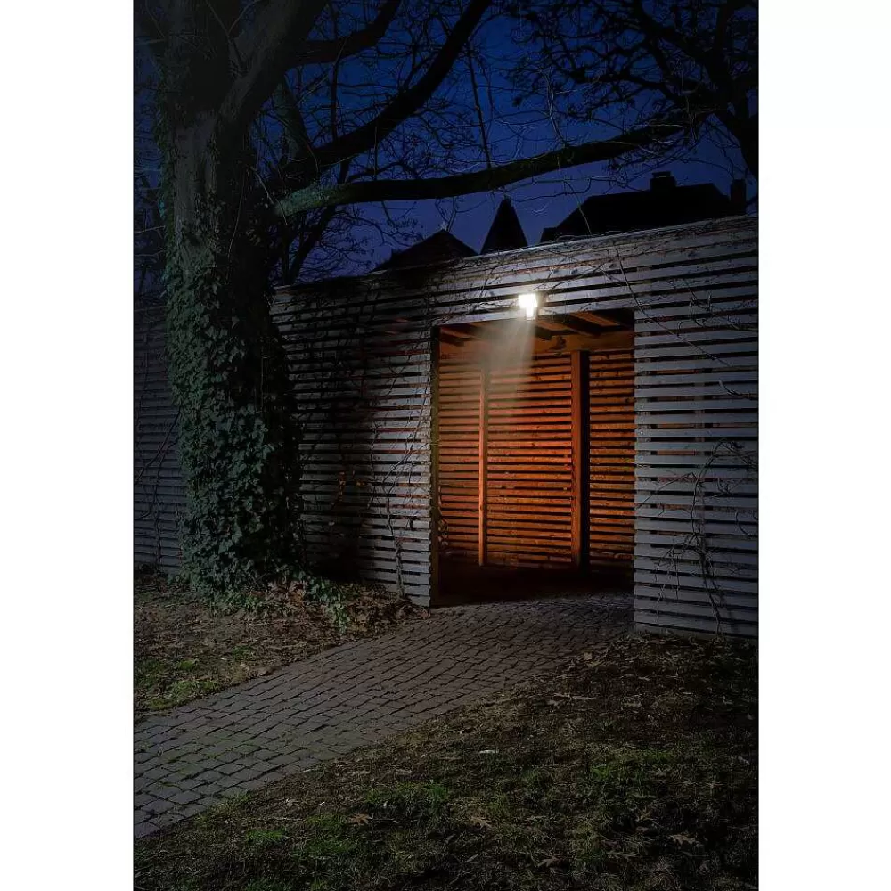 Luminaires Ledvance Spot De Jardin Ledvance Endura® Gris, 1 Lumiere, Detecteur De Mouvement
