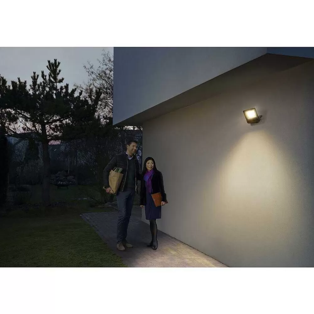 Luminaires Ledvance Spot De Jardin Ledvance Smart+ Gris, 1 Lumiere, Changeur De Couleurs