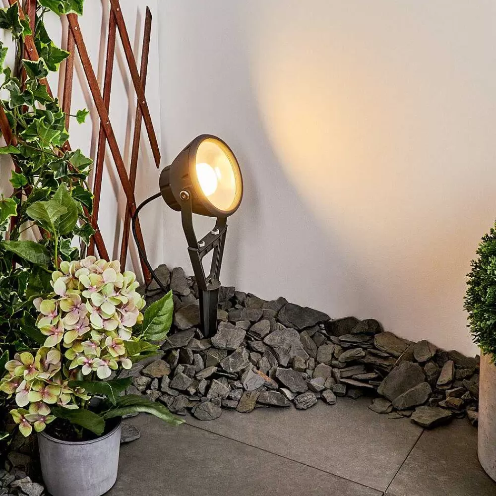 hofstein Spot De Jardin Phniet Led Noir, 1 Lumiere, Telecommandes, Changeur De Couleurs