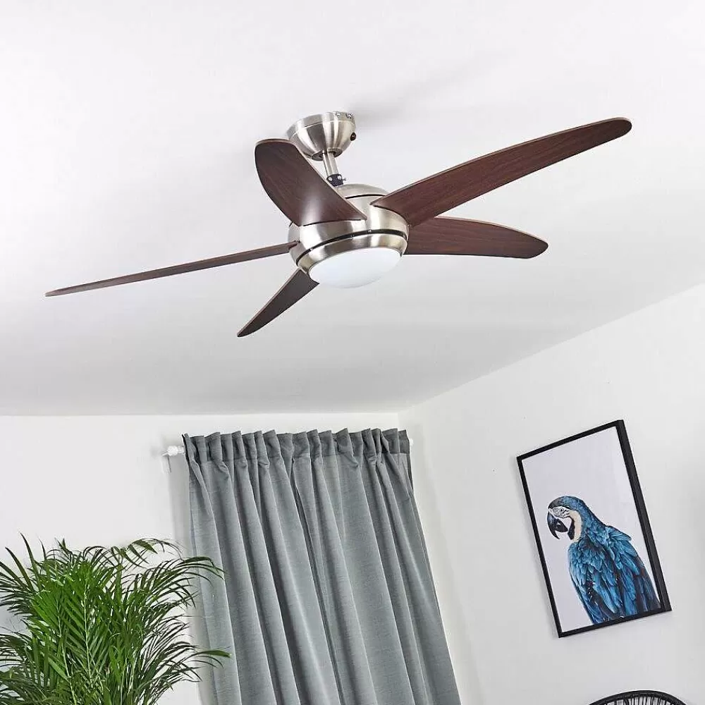 hofstein Ventilateur De Plafond Imon Bois Fonce, Nickel Mat, 1 Lumiere, Telecommandes