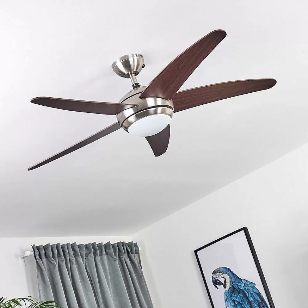 hofstein Ventilateur De Plafond Imon Bois Fonce, Nickel Mat, 1 Lumiere, Telecommandes