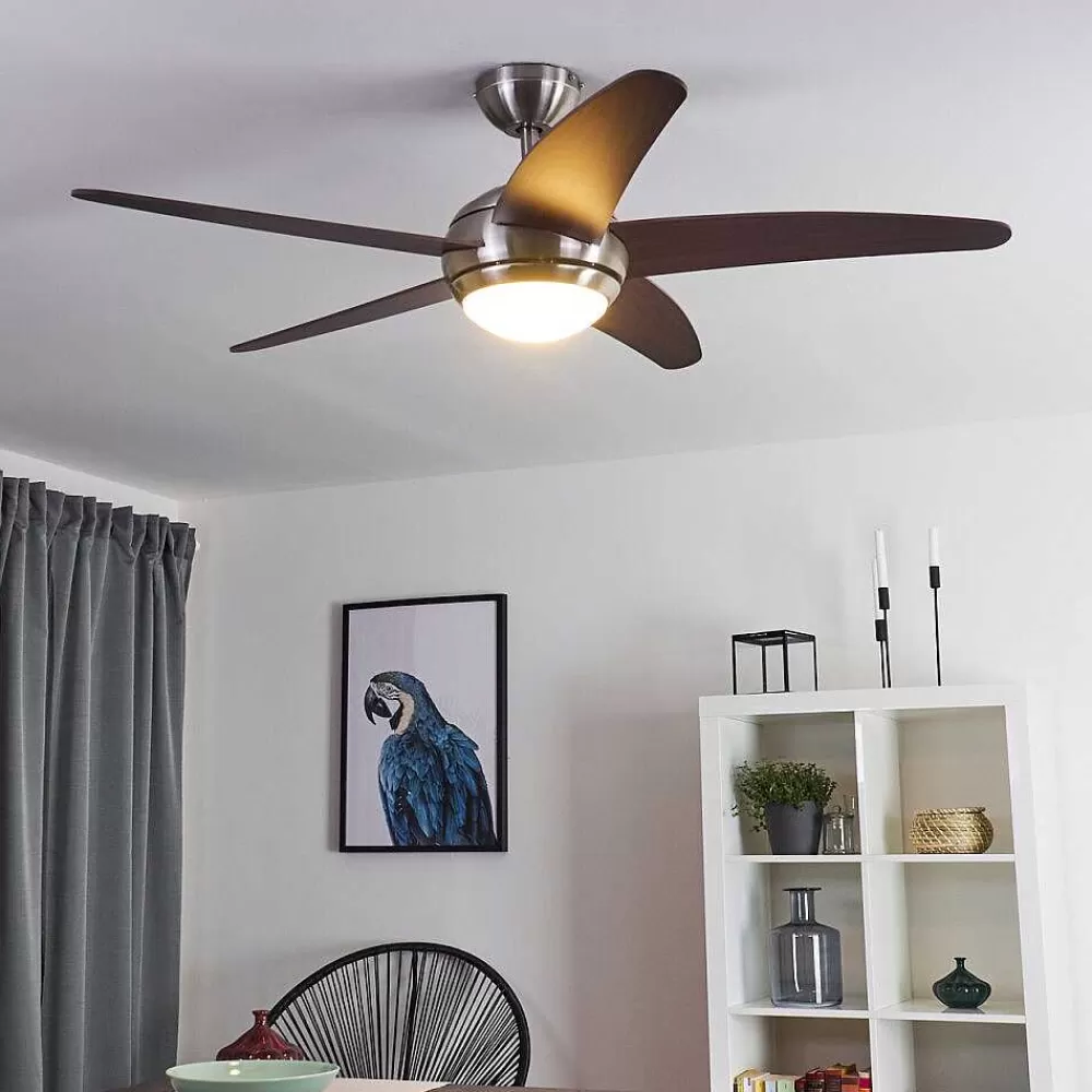 hofstein Ventilateur De Plafond Imon Bois Fonce, Nickel Mat, 1 Lumiere, Telecommandes
