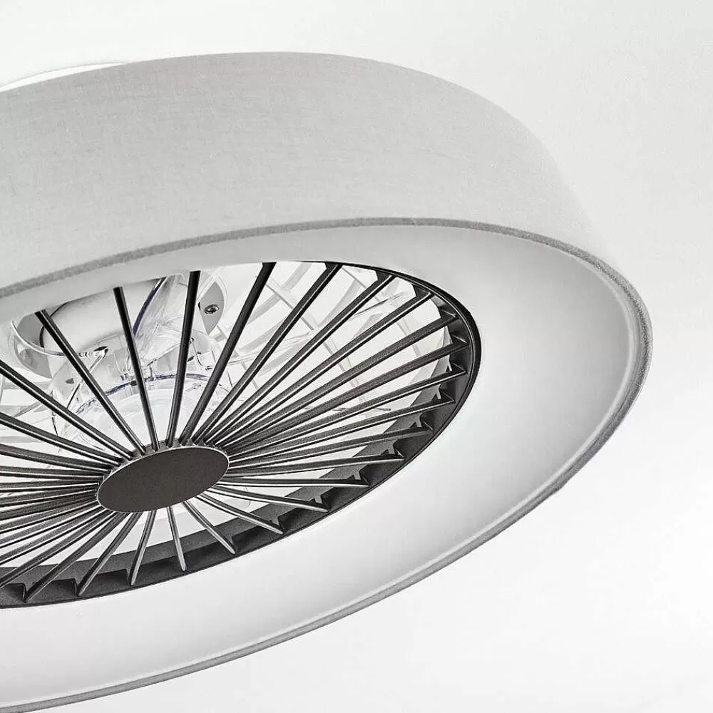 hofstein Ventilateur De Plafond Moli Led Gris, Blanc, 1 Lumiere, Telecommandes