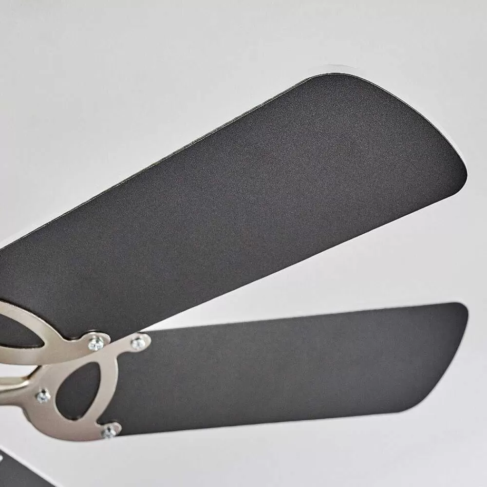 hofstein Ventilateur De Plafond Trillo Gris, Nickel Mat, Blanc, 1 Lumiere