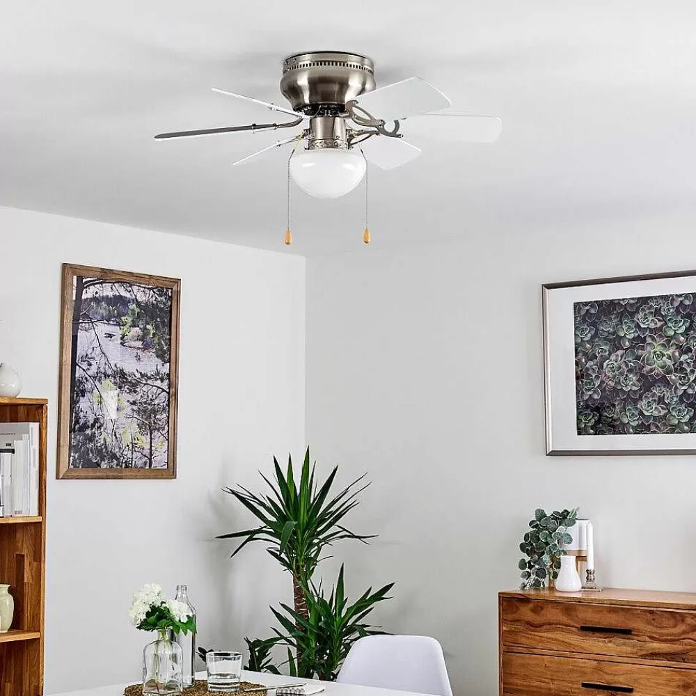 hofstein Ventilateur De Plafond Trillo Gris, Nickel Mat, Blanc, 1 Lumiere