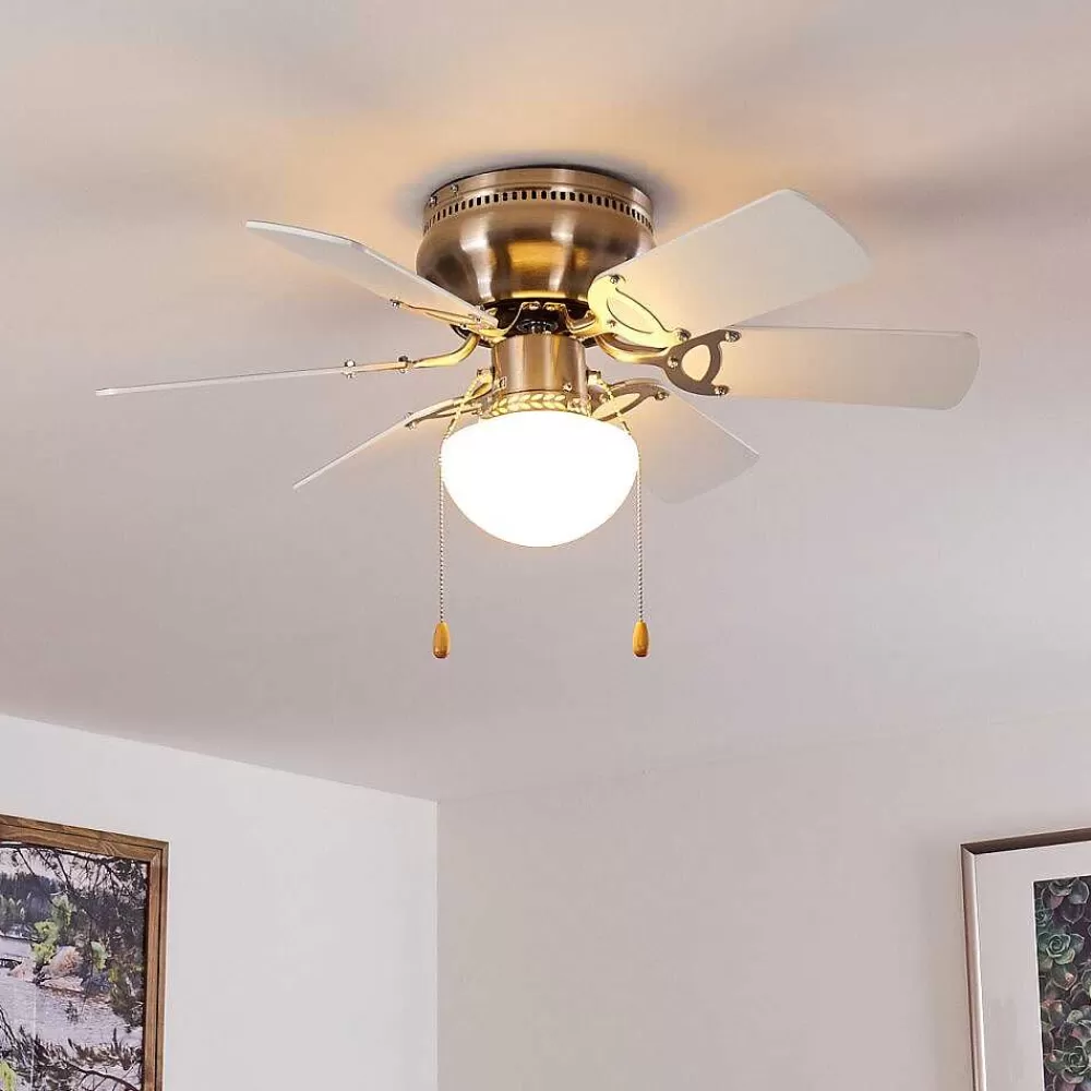 hofstein Ventilateur De Plafond Trillo Gris, Nickel Mat, Blanc, 1 Lumiere