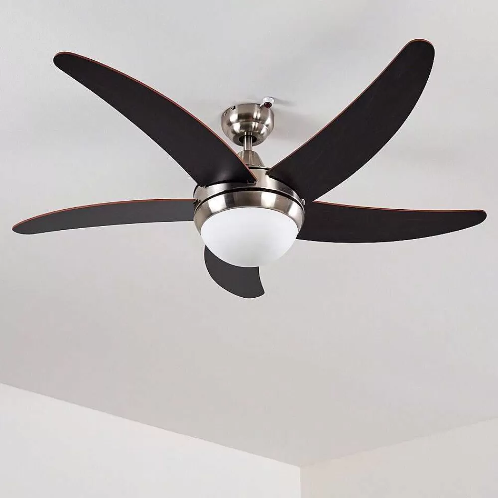 hofstein Ventilateurs De Plafond Morino Brun, Nickel Mat, 2 Lumieres, Telecommandes